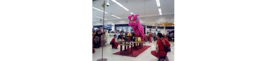 LION DANCE