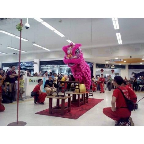 LION DANCE